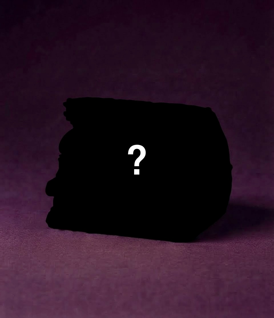 Purple rice mystery onigiri limited edition Berkeley